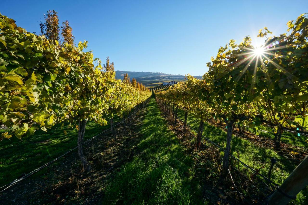 The Vineyards Lodge Chelan Kültér fotó